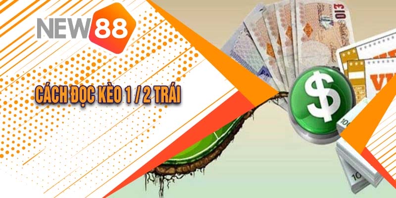 Hướng Dẫn Chi Tiết Về Kèo 1/2 Trái Tại Nhà Cái New88 2 Cách đọc kèo 1 / 2 trái